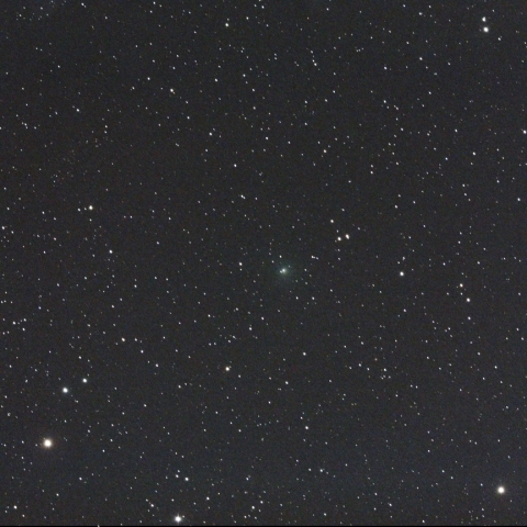 5月3日のパロマー彗星（C/2020 T2）