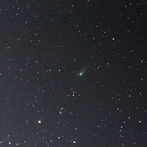 11月15日のレナード彗星（C/2021 A1）