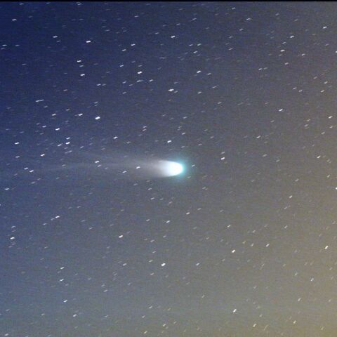 12月21日夕方のレナード彗星  (C/2021 A1)