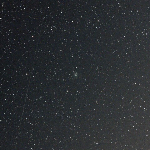 3月19日のZTF彗星(C/2020 V2)