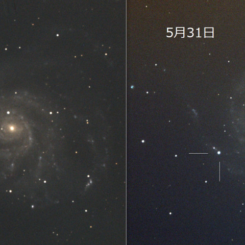 特集 2023年5月～ M101の超新星2023ixf - 天体写真ギャラリー
