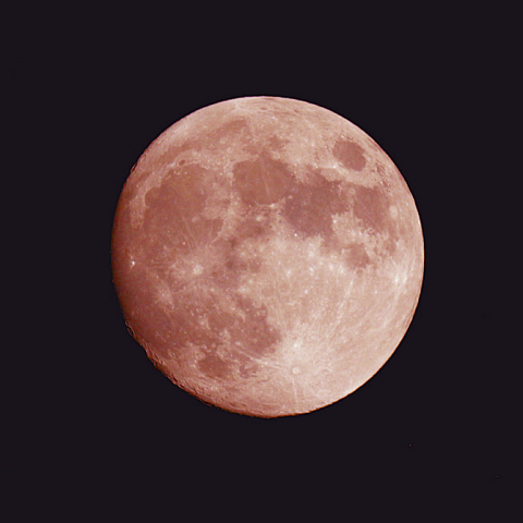 十三夜(月齢 12.7)