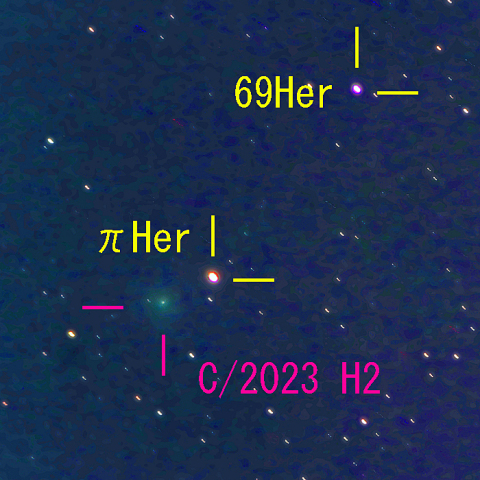 レモン彗星（11月8日）彗星核コンポジット