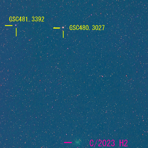 レモン彗星（C/2023 H2）11月13日　200mm