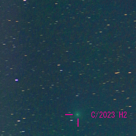 レモン彗星（11月14日）彗星核コンポジット