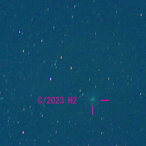 レモン彗星（11月15日）彗星核コンポジット