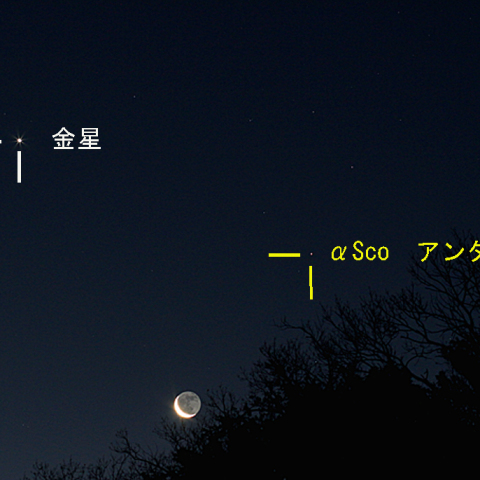 月と金星のランデブー