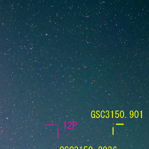 ポン・ブルックス彗星 (12P) 1月11日　200mm