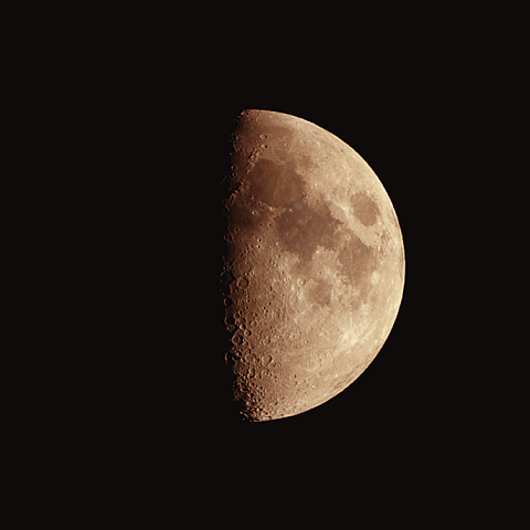 上弦の月(月齢7.5)