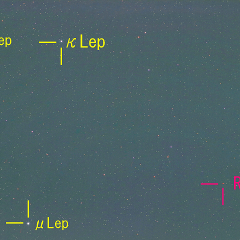 夜空は宝石箱(クリムゾンスター)  200mm