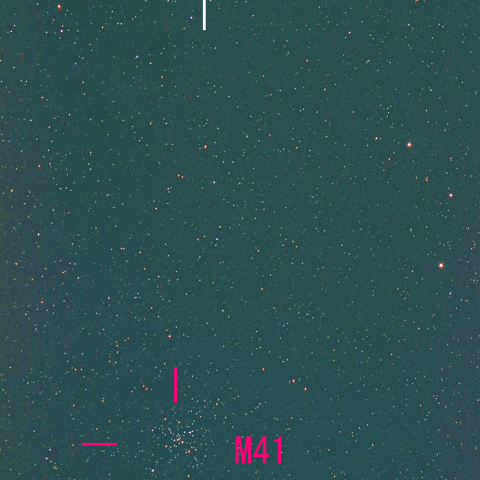 夜空は宝石箱(シリウス＆M41) 200mm