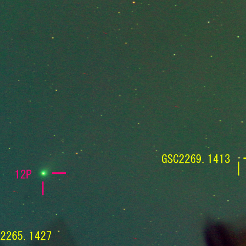 ポン・ブルックス彗星 (12P) 3月9日　400mm