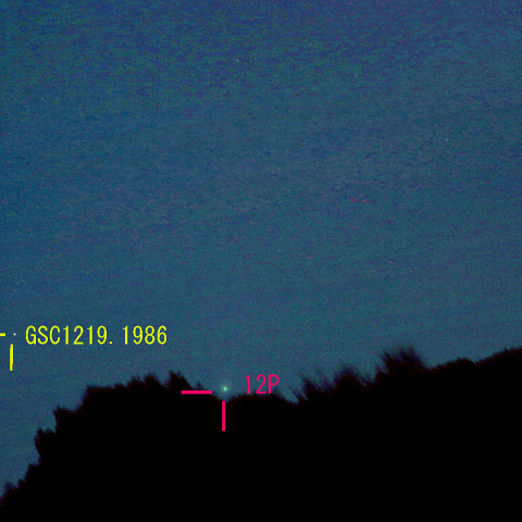 ポン・ブルックス彗星 (12P) 4月5日　300mm