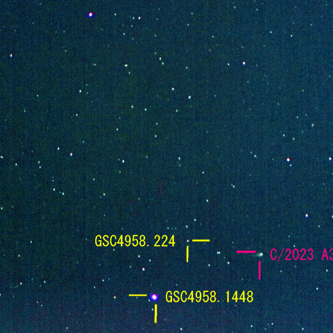 紫金山・アトラス彗星(C/2023 A3) 5月3日　400mm