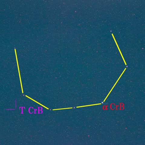 かんむり座T (2024/05/03)