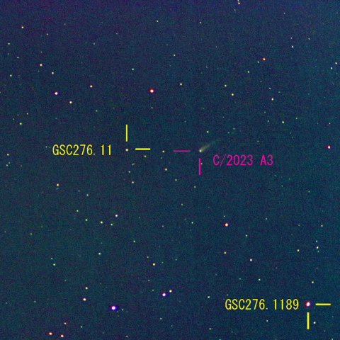 紫金山・アトラス彗星(C/2023 A3) 6月3日　400mm