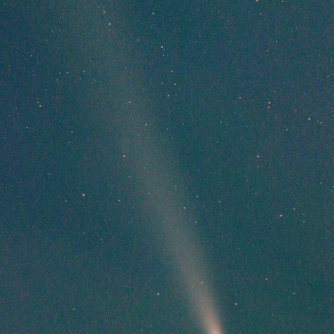 紫金山・アトラス彗星(C/2023 A3) 10月18日　300mm
