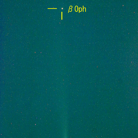 紫金山・アトラス彗星(C/2023 A3) 10月26日　200mm