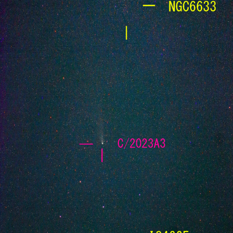 紫金山・アトラス彗星(C/2023 A3) 11月3日　85mm