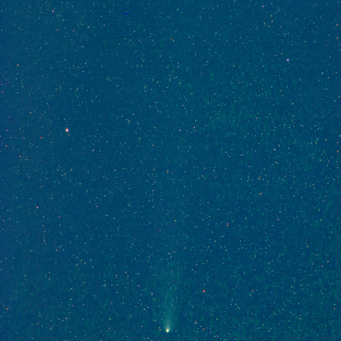 紫金山・アトラス彗星(C/2023 A3) 11月4日　200mm