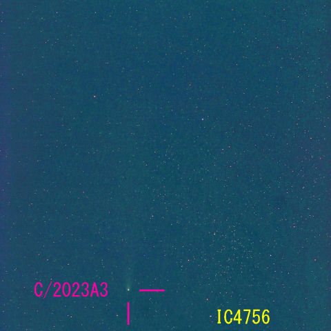 紫金山・アトラス彗星(C/2023 A3) 11月13日　200mm