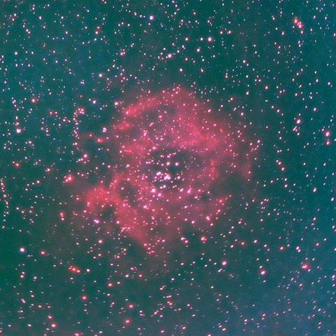 夜空は宝石箱(バラ星雲 NGC2237) 200mm