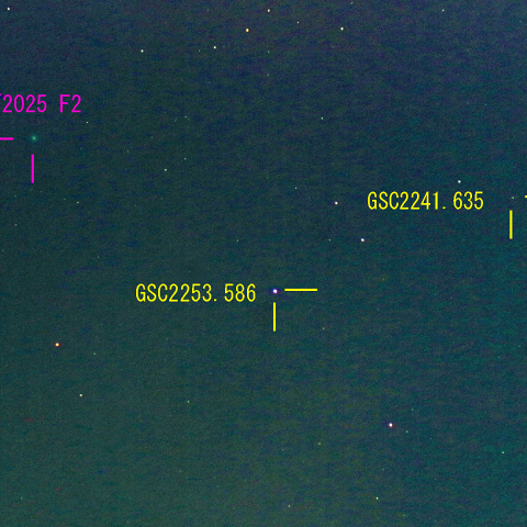 スワン彗星(C/2025 F2) 4月7日 400mm