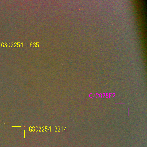 スワン彗星(C/2025 F2) 4月9日 400mm