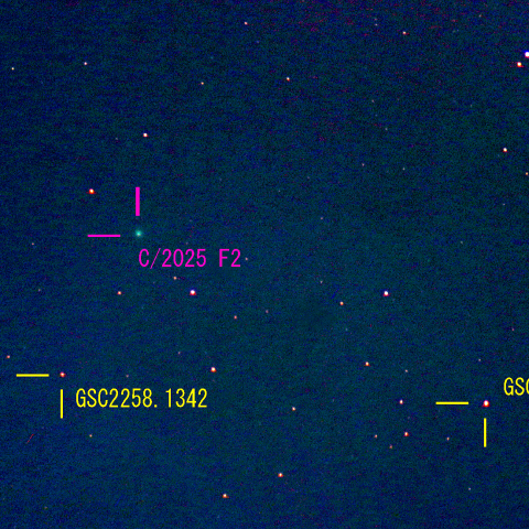 スワン彗星(C/2025 F2) 4月12日 400mm