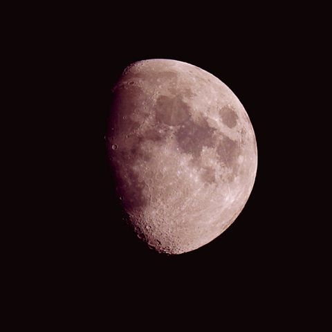 十日夜(月齢 9.6)