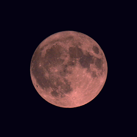 フラワームーン(月齢 14.8)