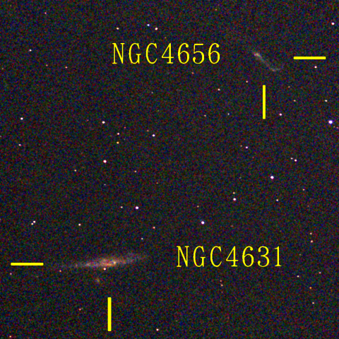 夜空は宝石箱(クジラ銀河 NGC4631) Seestar50
