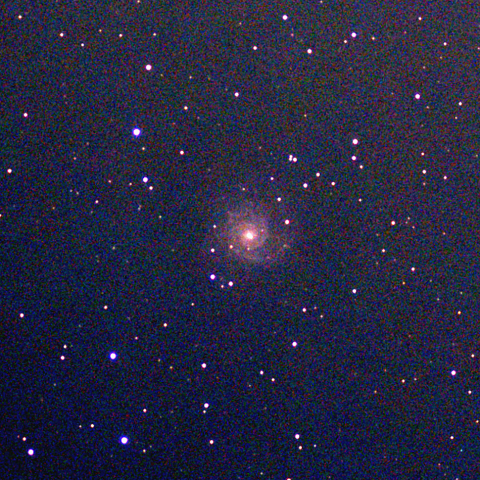 夜空は宝石箱(うお座 M74) Seestar50