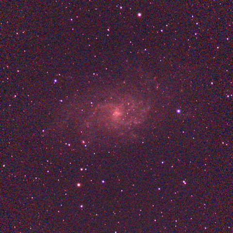 74138: NGC891 by 北野宏治 - 天体写真ギャラリー