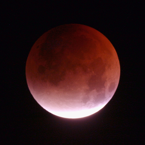 ターコイズフリンジ