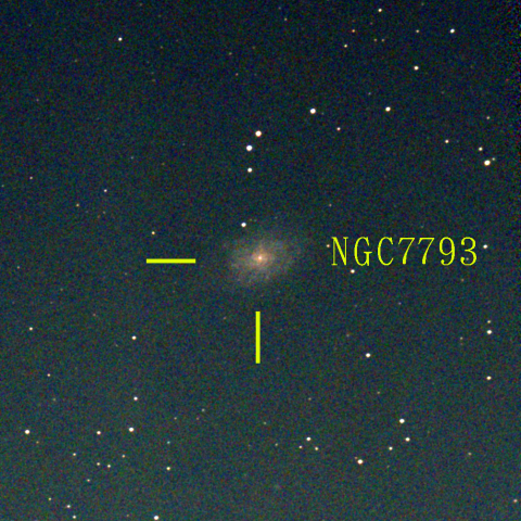 夜空は宝石箱(ちょうこくしつ座 NGC7793) Seestar50