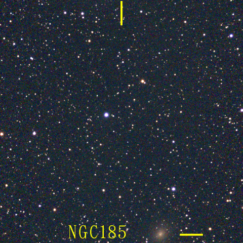 夜空は宝石箱(カシオペア座 NGC185) Seestar50