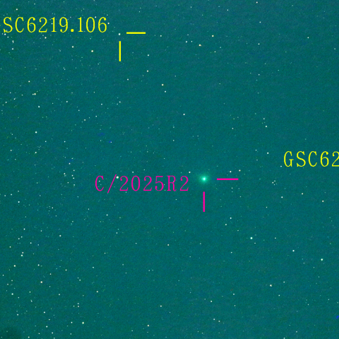 スワン彗星(C/2025 R2) 10月13日　200mm