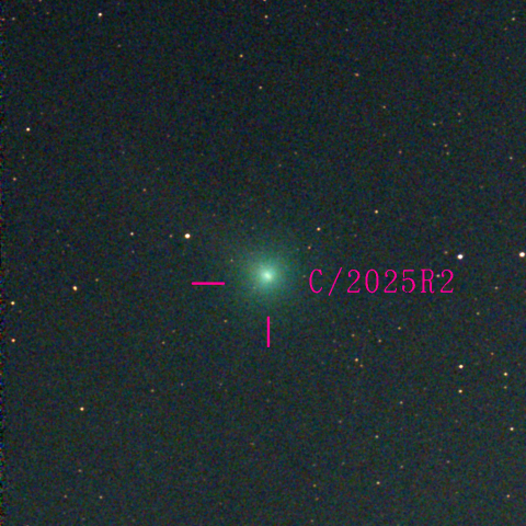スワン彗星(C/2025 R2)10月13日 Seestar50
