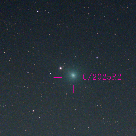 スワン彗星(C/2025 R2)10月15日 Seestar50