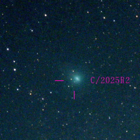 スワン彗星(C/2025 R2)10月17日 Seestar50