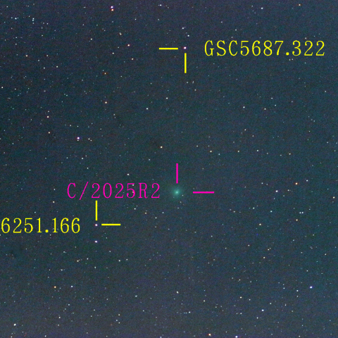 スワン彗星(C/2025 R2) 10月17日 400mm