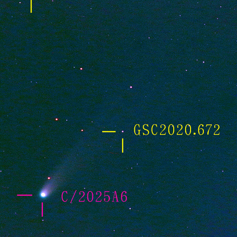 レモン彗星(C/2025 A6) 10月23日 300mm