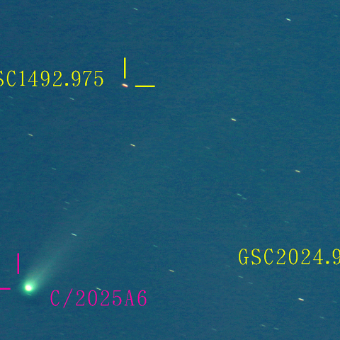 レモン彗星(C/2025 A6) 10月24日 400mm (彗星核コンポジット)