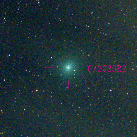 スワン彗星(C/2025 R2)10月20日 Seestar50