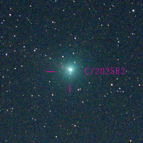 スワン彗星(C/2025 R2)10月23日 Seestar50