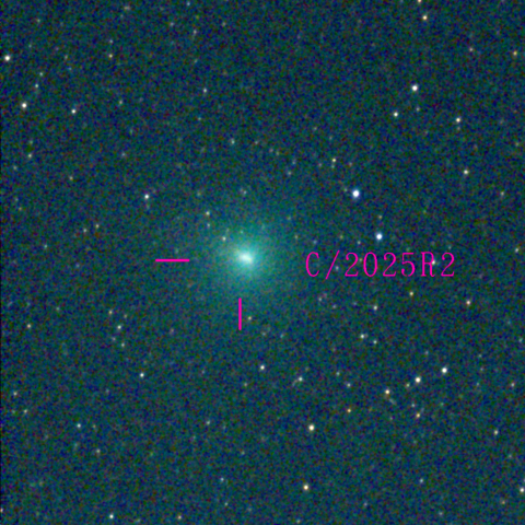 スワン彗星(C/2025 R2)10月24日 Seestar50