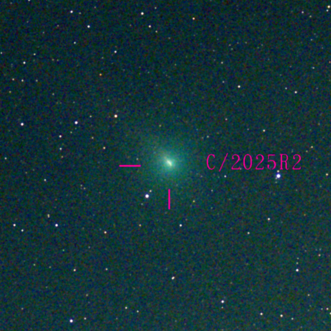 スワン彗星(C/2025 R2)10月26日 Seestar50