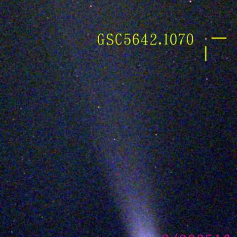 レモン彗星(C/2025 A6) 11月07日 Seestar50