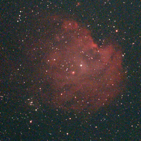 夜空は宝石箱(モンキー星雲 NGC2174) Seestar50